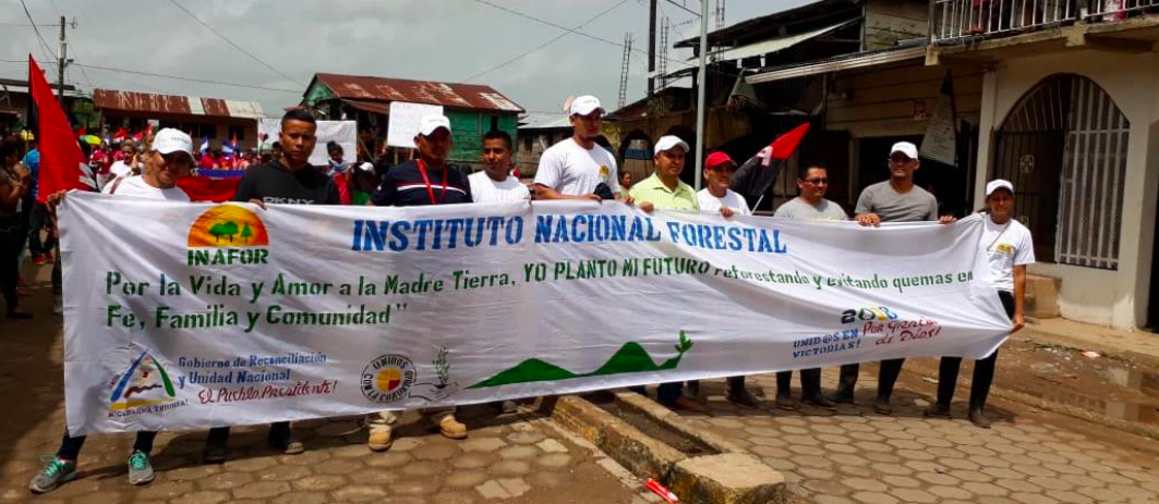 reforesta1